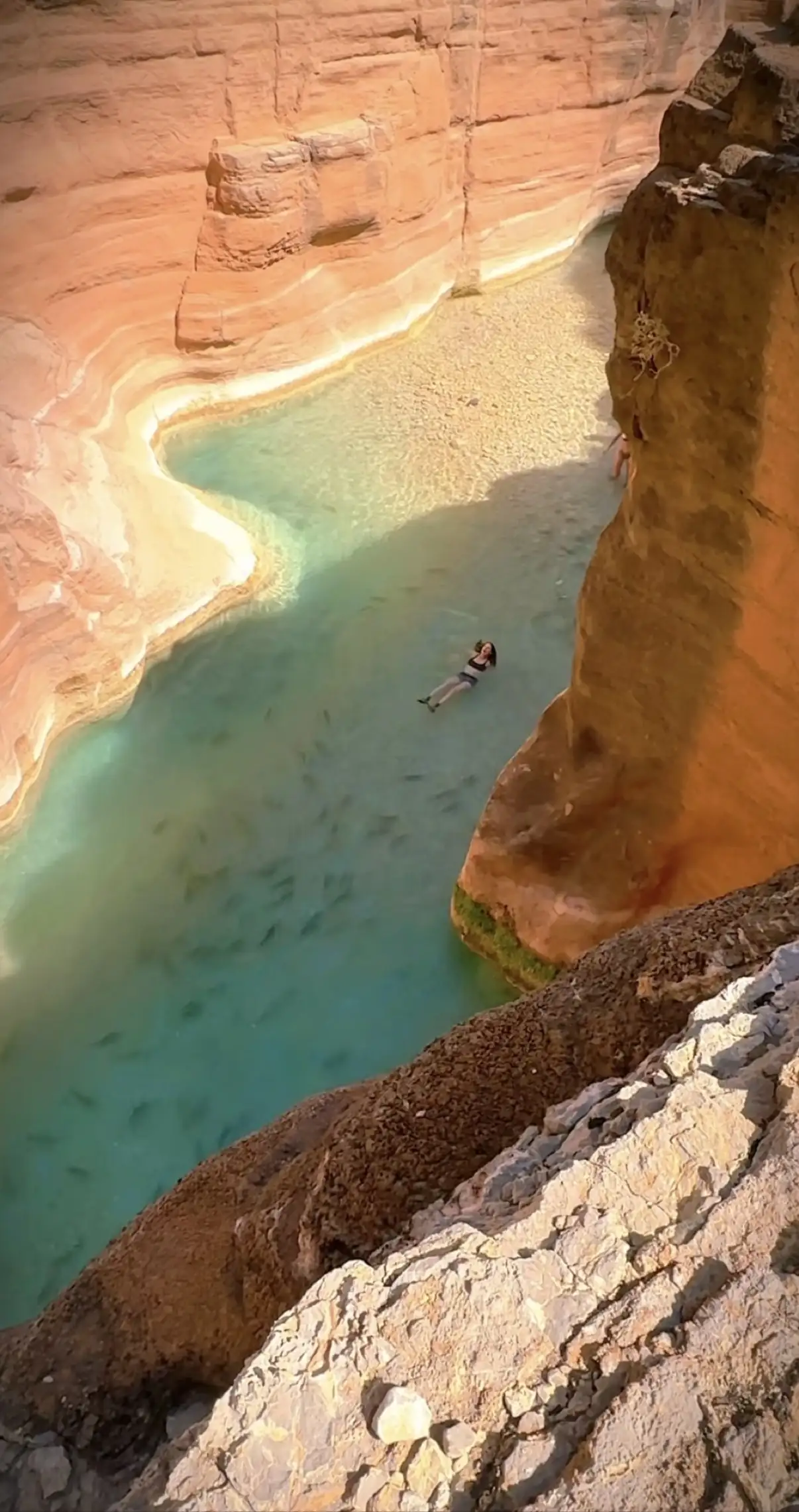Looking down into a turquoise Havasu Creek pool with a swimmer floating between red rock walls