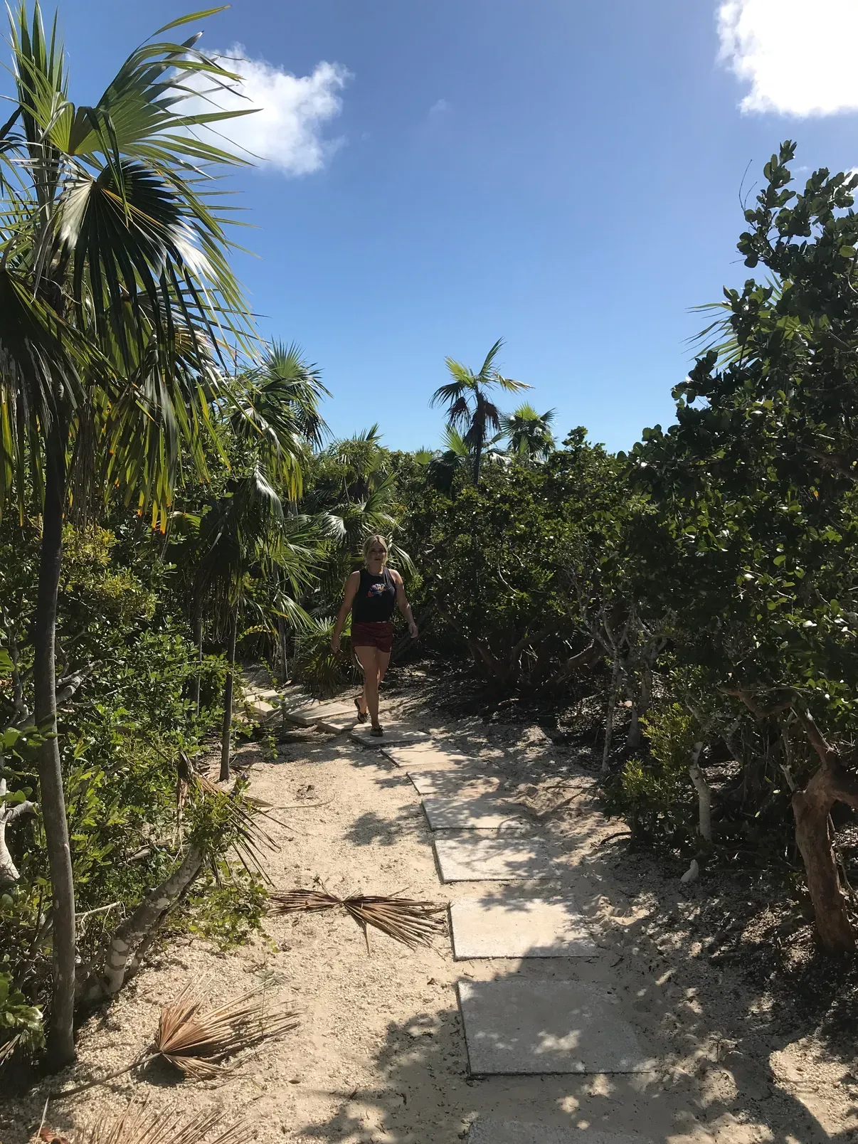 A sandy path shaded by palms and sea grape, running down toward the beach